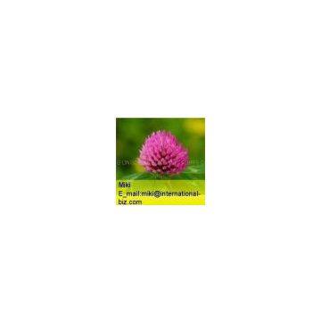 Red Clover P.E.