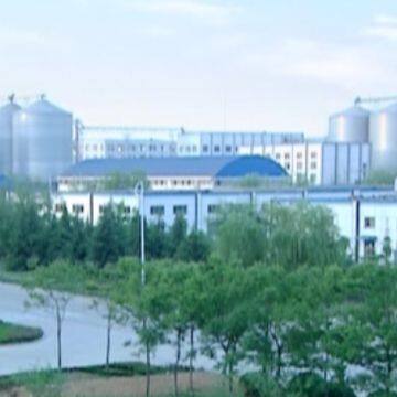 Golden Grain Group Limited company overview - view 1