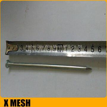 40D 5inches Length Galvanized Common Wire Nails photo-5