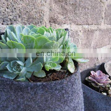20 Gallon Felt Plant Pots photo-2