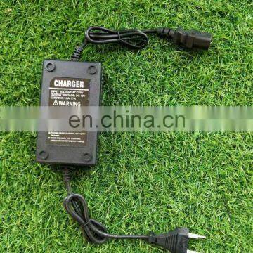 Battery Charger for Backpack Electric Charge Sprayer photo-2