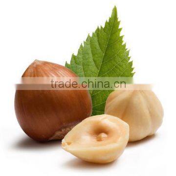 Good price fresh chestnut for sale in dandong with chinese chestnuts wholesale. Eating chinese chestnuts