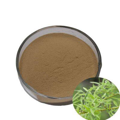 Wholesales High Quality Organic 100% Pure Salix Alba Bark Extract Salicin
