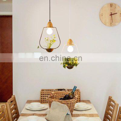 Nordic Creative Garden Plant Chandelier Modern Plant Pot Ceiling Hanging Lamp for Indoor Flower Pot LED Pendant Light photo-5