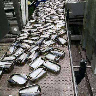 Canned Sardines photo-2