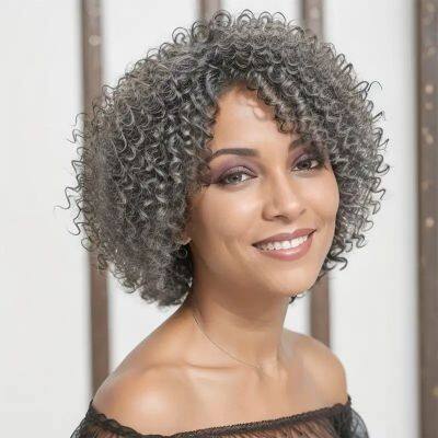Trendy Design Wig Human Hair Salt & Pepper Kinky Curly Full Mechanism 250% Human Hair Wigs Brazilian Hair 10 Inch For Women photo-4