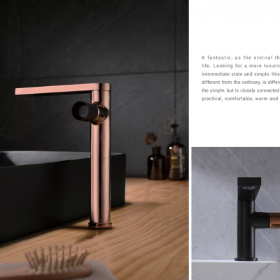 Diverse Installation Methods Including Sitting and Wall-mounted Suitable for Different Space Needs Suite Mixer Series photo-2