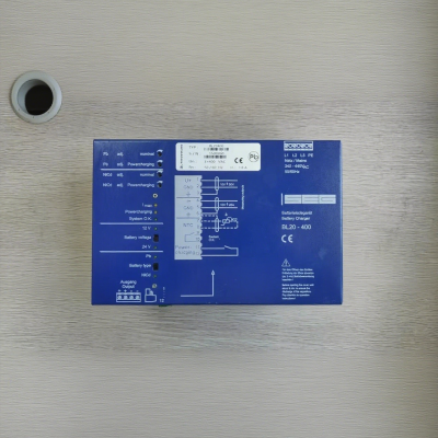 WOODWARD BL20400 Battery Charger