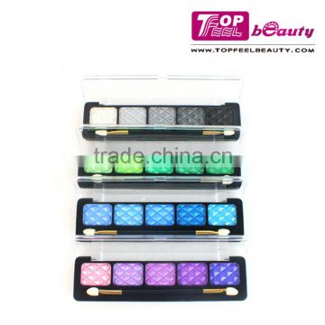 5 Color oem professional eyeshadow palette makeup set