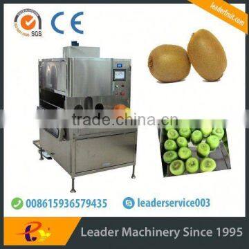 Leader Low Price Kiwi Fruit Washing and Peeler Machine photo-3