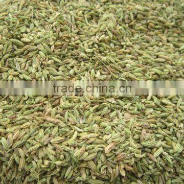 Fennel Seeds