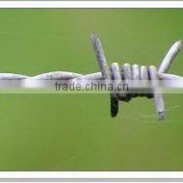 Professional manufacturer of Barbed wire