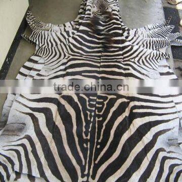 zebra skin rug