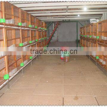 MAKER Wooden Breeding Cage for Pigeon photo-2