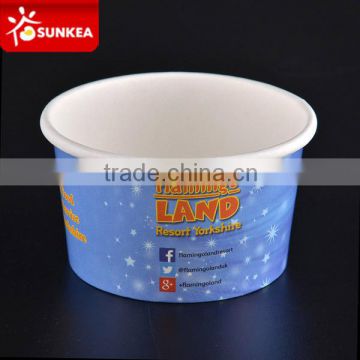 Disposable paper ice cream cup 14oz