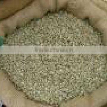 Green Coffee Beans