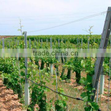 Factory supply vineyard plant training stake