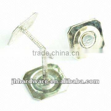 Round Cap Nail