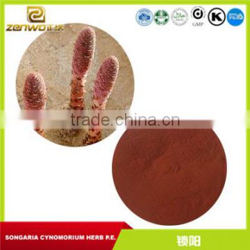 pure songaricum cynomorium herb extract powder