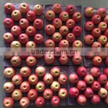 JINGCHUAN QINGUAN photo-5