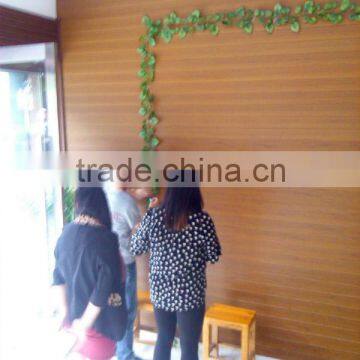 Eco Wood plastic PE interior wall paneling