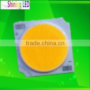 3 Years Warranty High Quality 1919 10W COB LED Chip for Ceiling Light