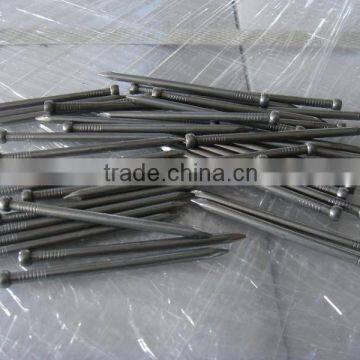 galvanized or polished common iron nails china supplier