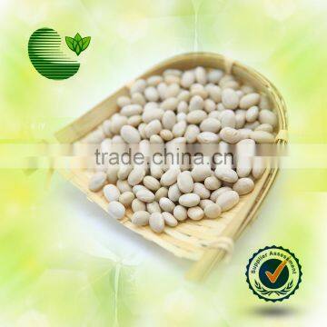 White Kidney Beans (Navy Type)