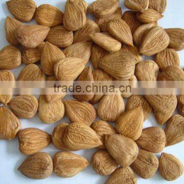 roasted apricot kernels raw flavor with good quality for sale