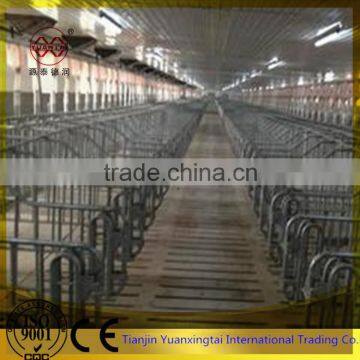 pipe for sow farrowing cage pig crate/galvanized cages pipe