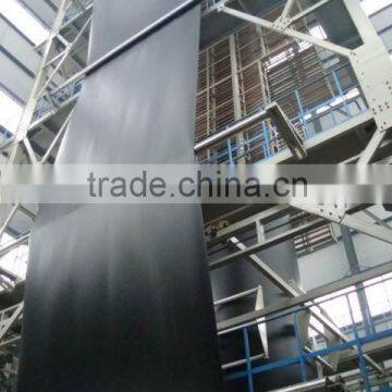 Good Price Hdpe Geomembrane for Pool