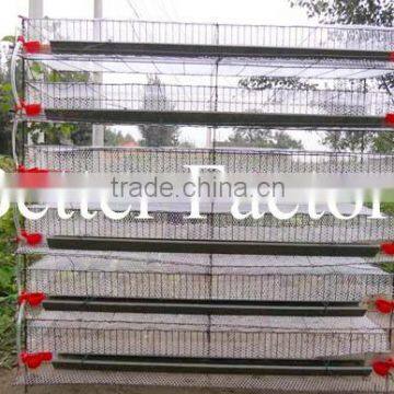 BT Factroy Hot-sale high quality wire mesh layer quail cages for sale in Uganda