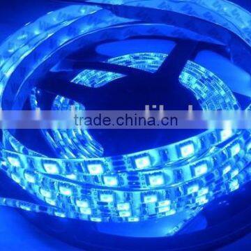 High Brightness Double Board 2 Years Warranty 12v Led Strip Light Blue Flexible Led Strip Light 5050 60led/m Rope Light Led Belt