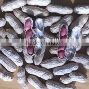 2015 crop Chinese red skin peanuts 50/60 40/50 , good quality with no aflatoxin