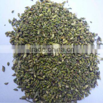 Dried sophora japonica flower