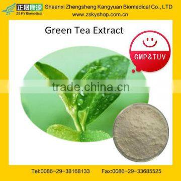 GMP Certified factory supply Antioxidant EGCG Green Tea Extract/Catechin/Gallate