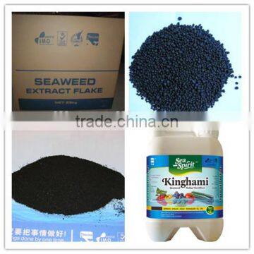 lowest price strawberries fertilizer