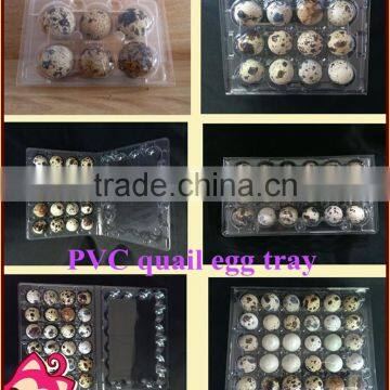 Hot sale 24 hole plastic pvc clear quail egg packing tray /quail egg cartons for sale