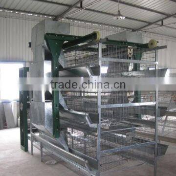 Automatic quail feeding equipment