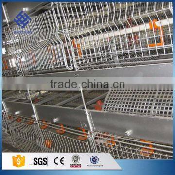 30 Years' Factory Supply Automatic Layer Egg Chicken Cage photo-4