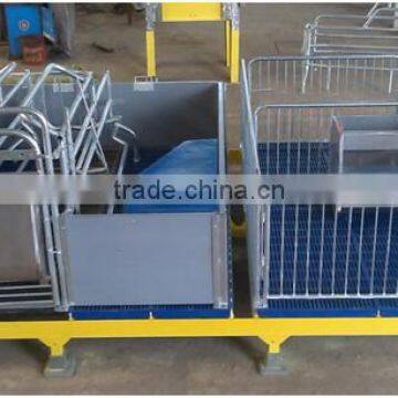 Sow Gestation Pen As Pig Farm Equipment photo-5