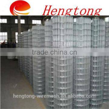 manufacturer hot selling galvanized welded wire mesh construction/electro galvanized steel sheet