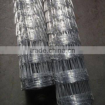 Cheap Animal Wire Mesh Fence for Sale (Big Factory in Anping) photo-3