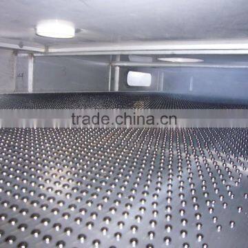 C5, C9 Petroleum Resins Granulating Machine photo-2