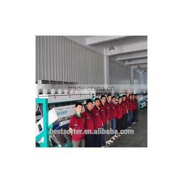 Dried shrimp automatic sorting machine/complete line dried shrimp sorting machine