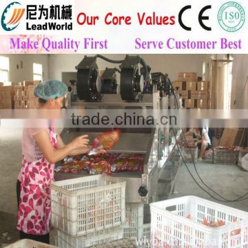 Drying machine net belt dryer / Hot air net belt dryer / Professional mesh net belt dryer manufacturer