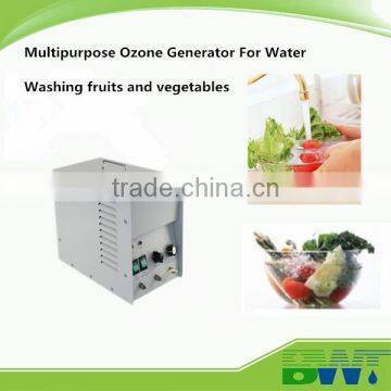 3g/h Ozone Filter Water Cleaning Vegetable Cleaner Ozone Generator for Water Treatment photo-3