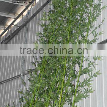 New Style Artificial Bamboo Plant/fake Evergreen Bamboo for Decoration photo-3