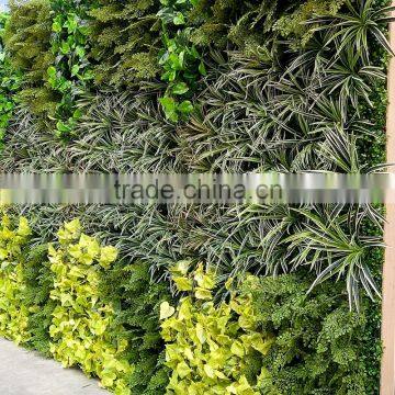 New Design Artificial Plant Wall for Decoration photo-6