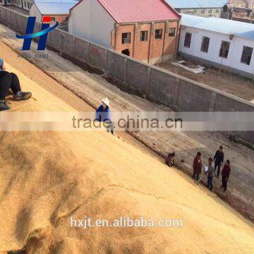 Manufacture Directly Supply Slope Erosion Control Coir Fiber Mat Coconut Fiber Blankets photo-2